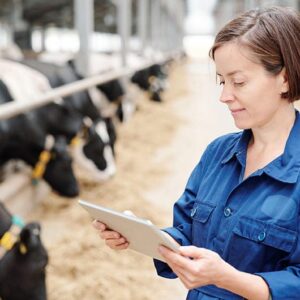 Dairy Cattle Farming Business Certificate